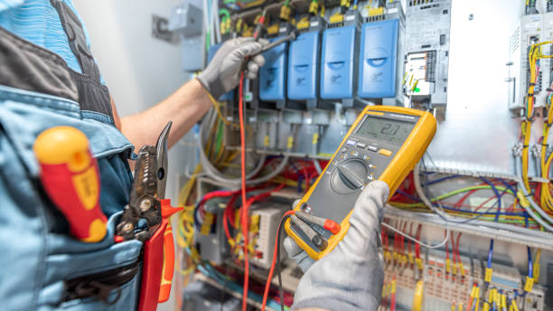 Best Electric Panel Repair  in Parkers Prairie, MN