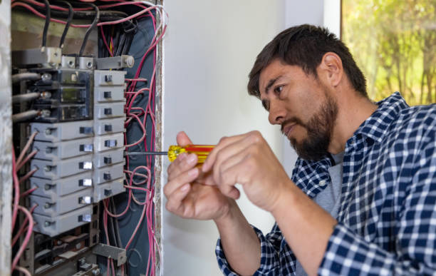 Best Affordable Electrician  in Parkers Prairie, MN